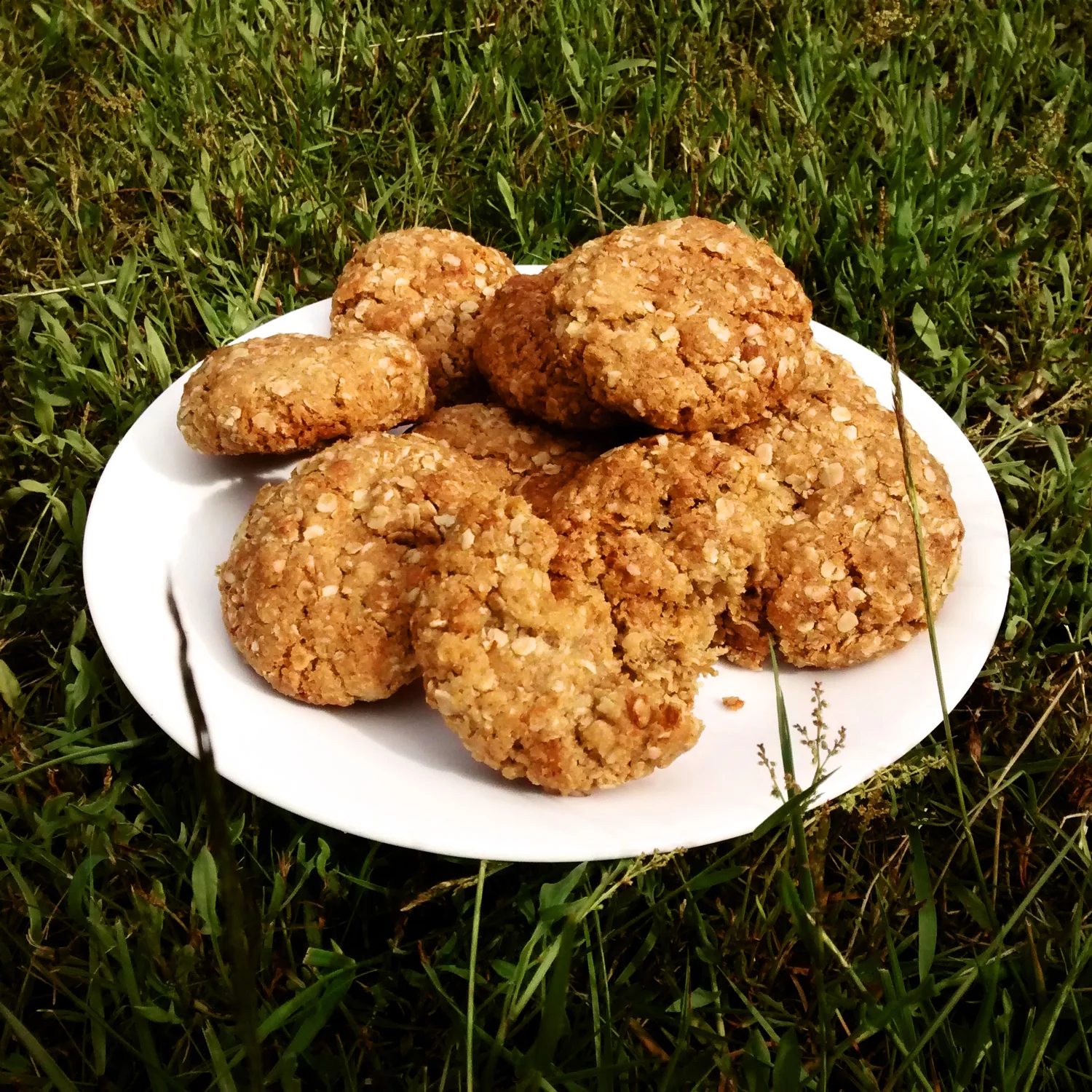efw-ww1-anzac-biscuit.jpg