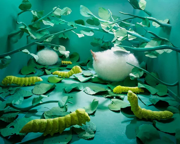 Dreamscapes-without-photoshop-Jee-Young-Lee-5-600x480.jpg