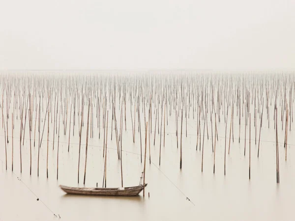 josef-hoflehner-patience-8-600x450.jpg