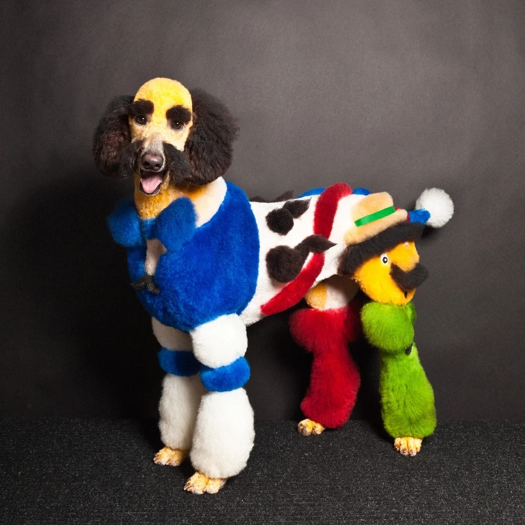 paul-nathan-studio-groomed-9.jpg