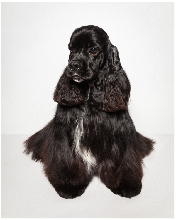 paul-nathan-studio-groomed-5-600x749.png