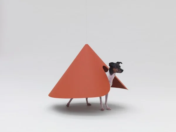 architecture-for-dogs-2-600x450.jpg