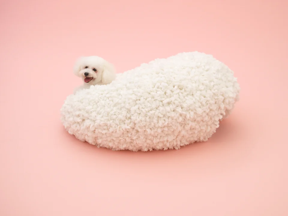 architecture-for-dogs-6.jpg