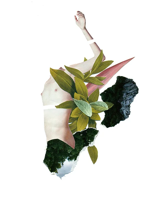 Rocio-Montoya_Collage_13.jpg