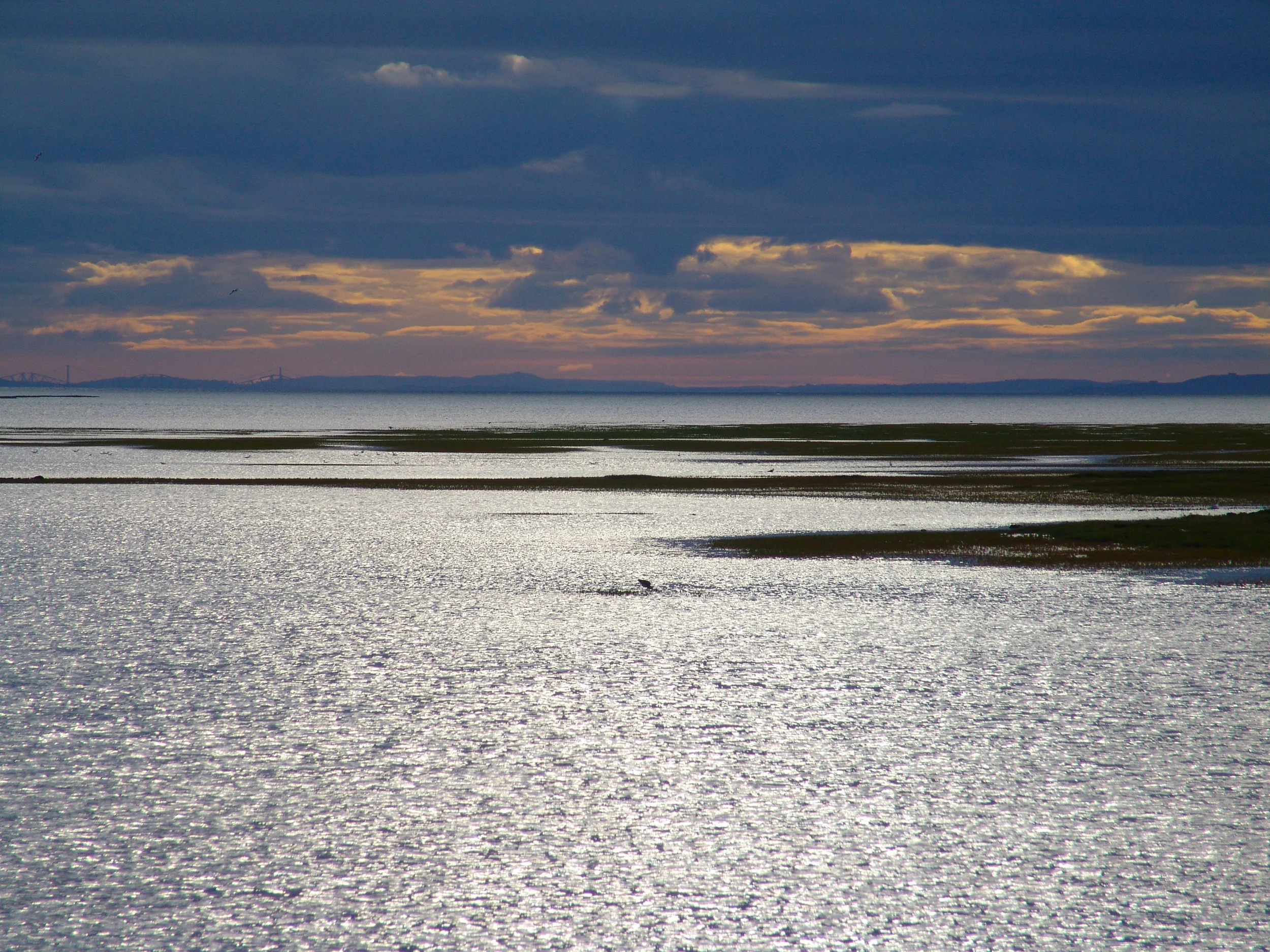 Aberlady Bay, Scotland