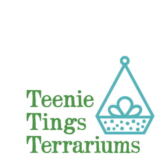 Teenie Tings Terrariums