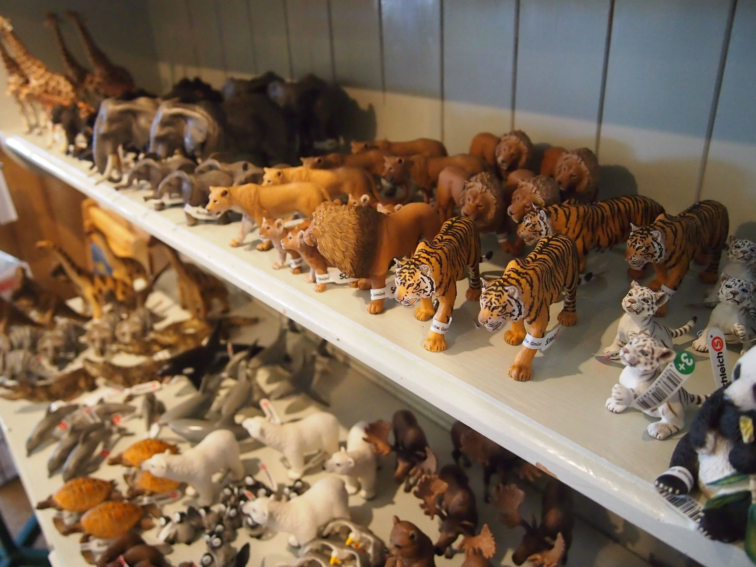 FINALLY! The beasts are here.