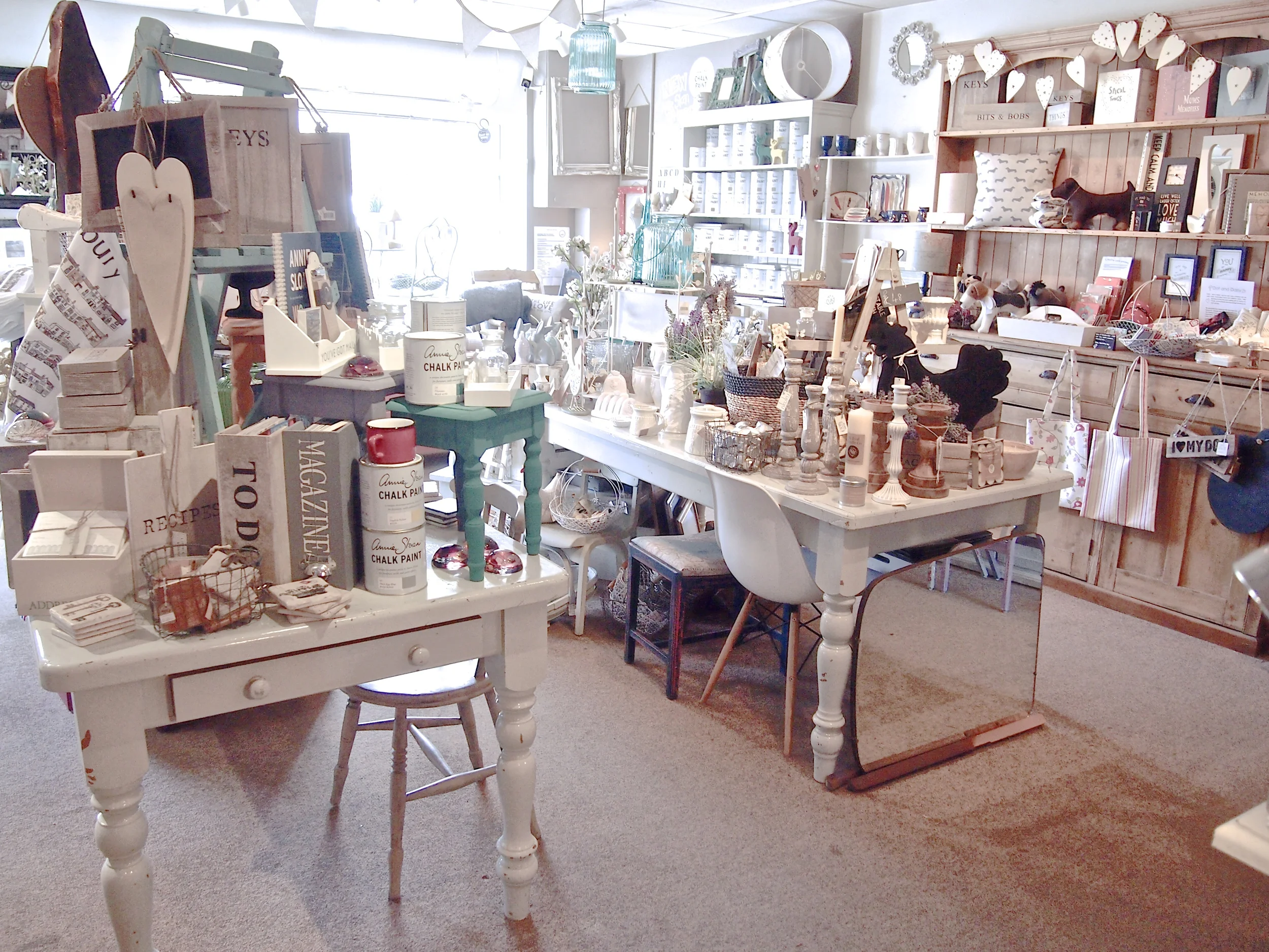 Springtime sunshine bursting through Surroundings.