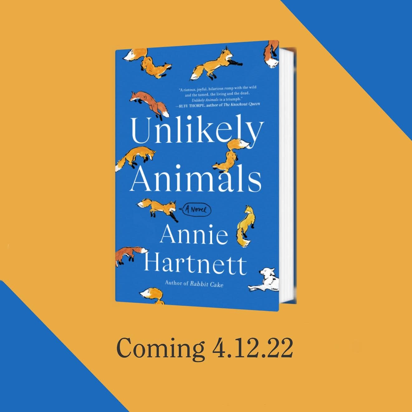 Unlikely Animals — Annie Hartnett
