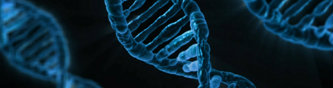 January, 2015 - GCSP Editorials The Ethical and Security Implications of Synthetic Biology and Cognitive Enhancement Assessing the future impact of crucial emerging technologies . Read More.
