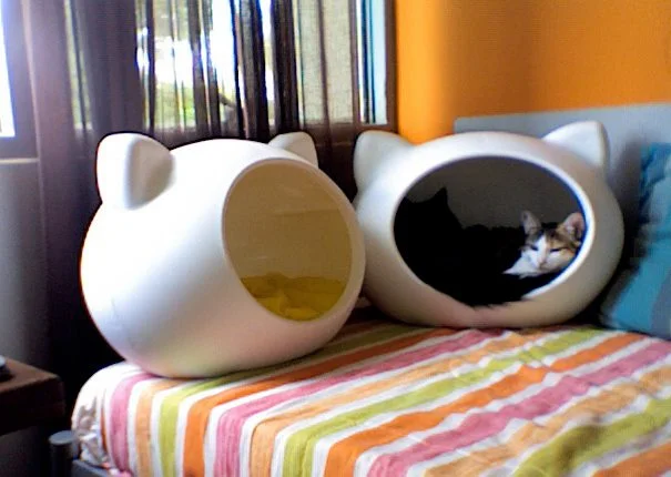 best_pets_beds_uk.jpg