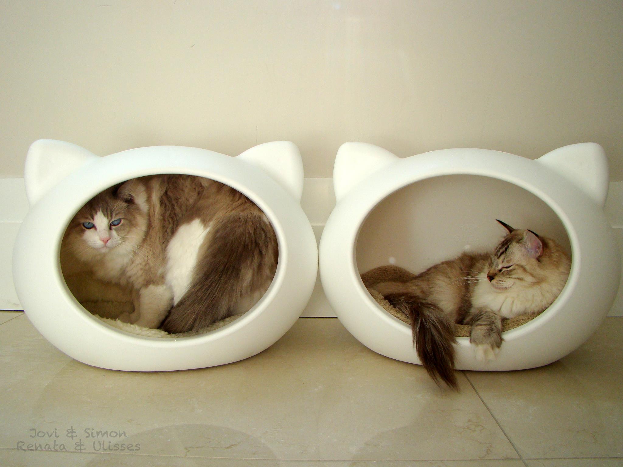 cats_beds_uk_guisapet_home_acessories.jpg