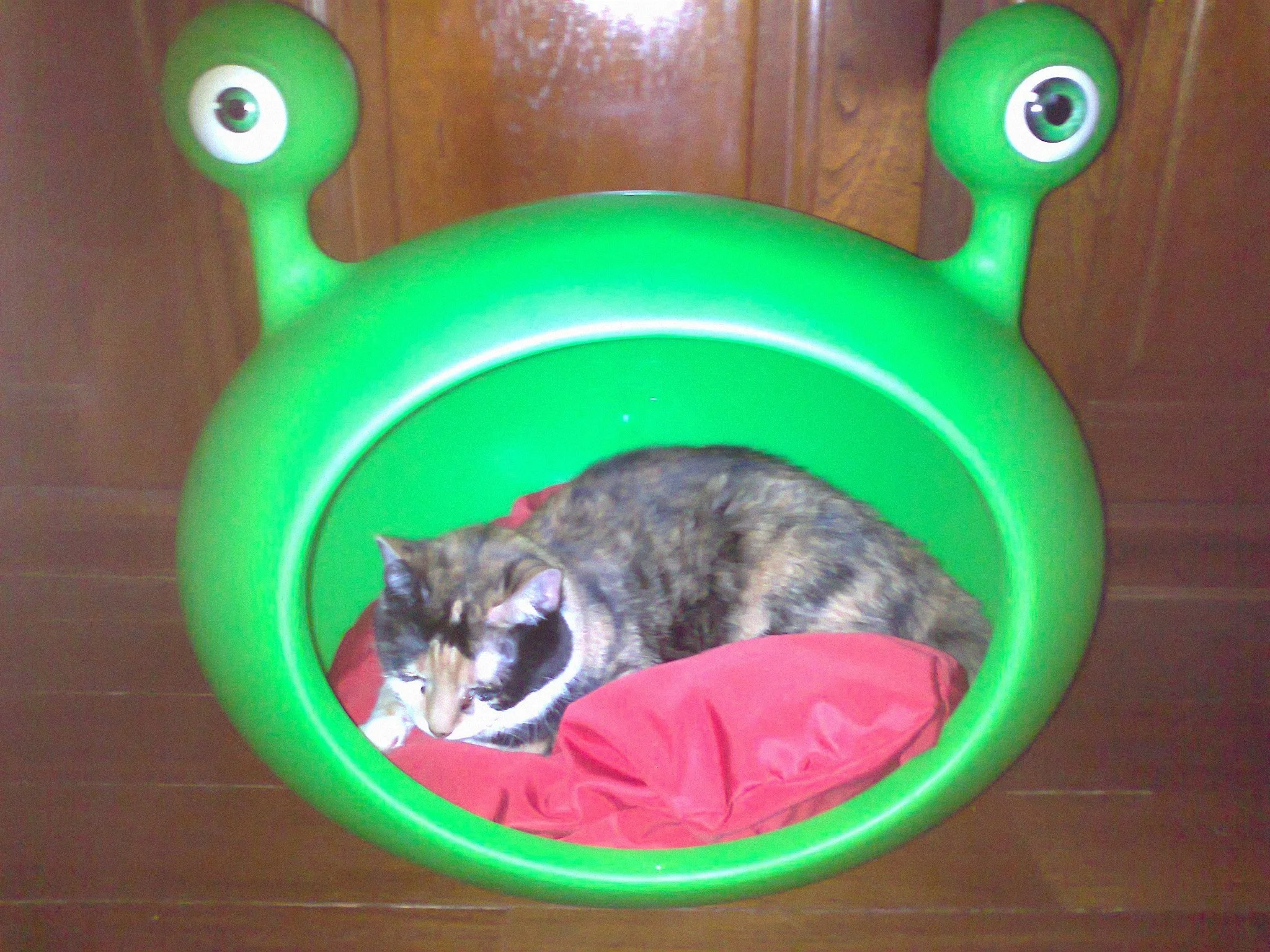 green_durable_cat_bed_uk_guisapet.jpg