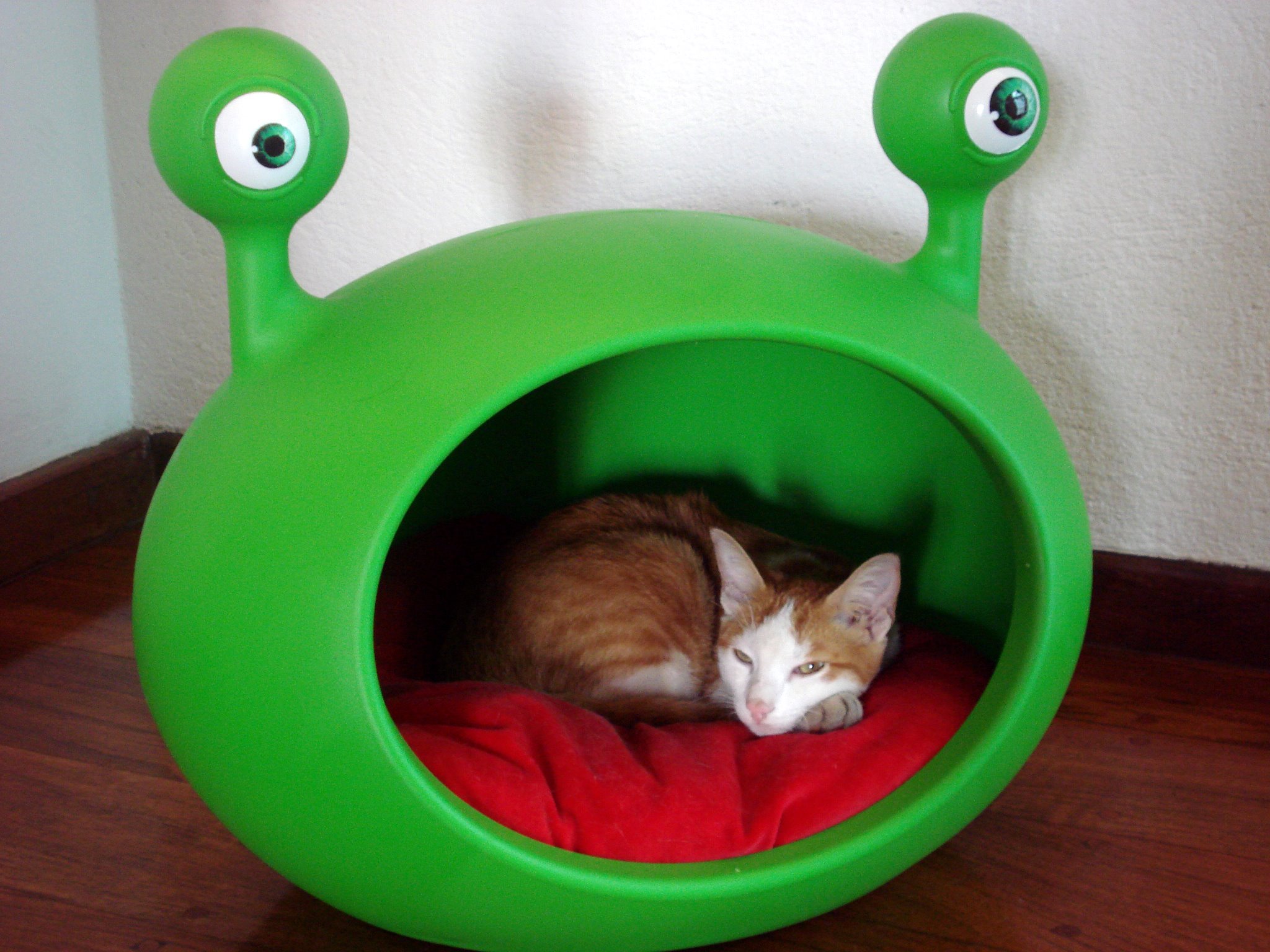 modern_funky_pet_house_bed_guisapet.jpg