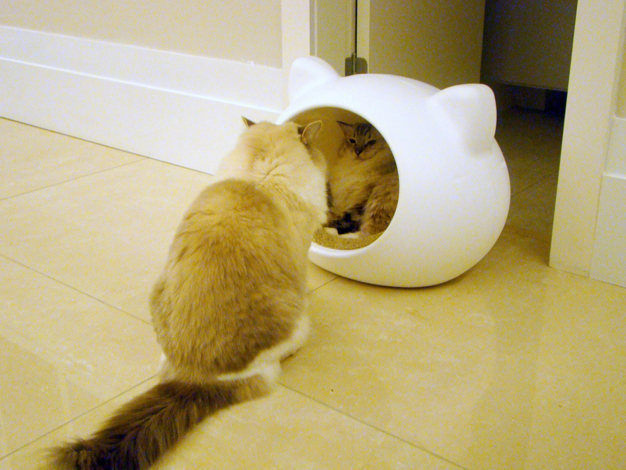 modern_white_beds_cats_uk_guisapet.jpg