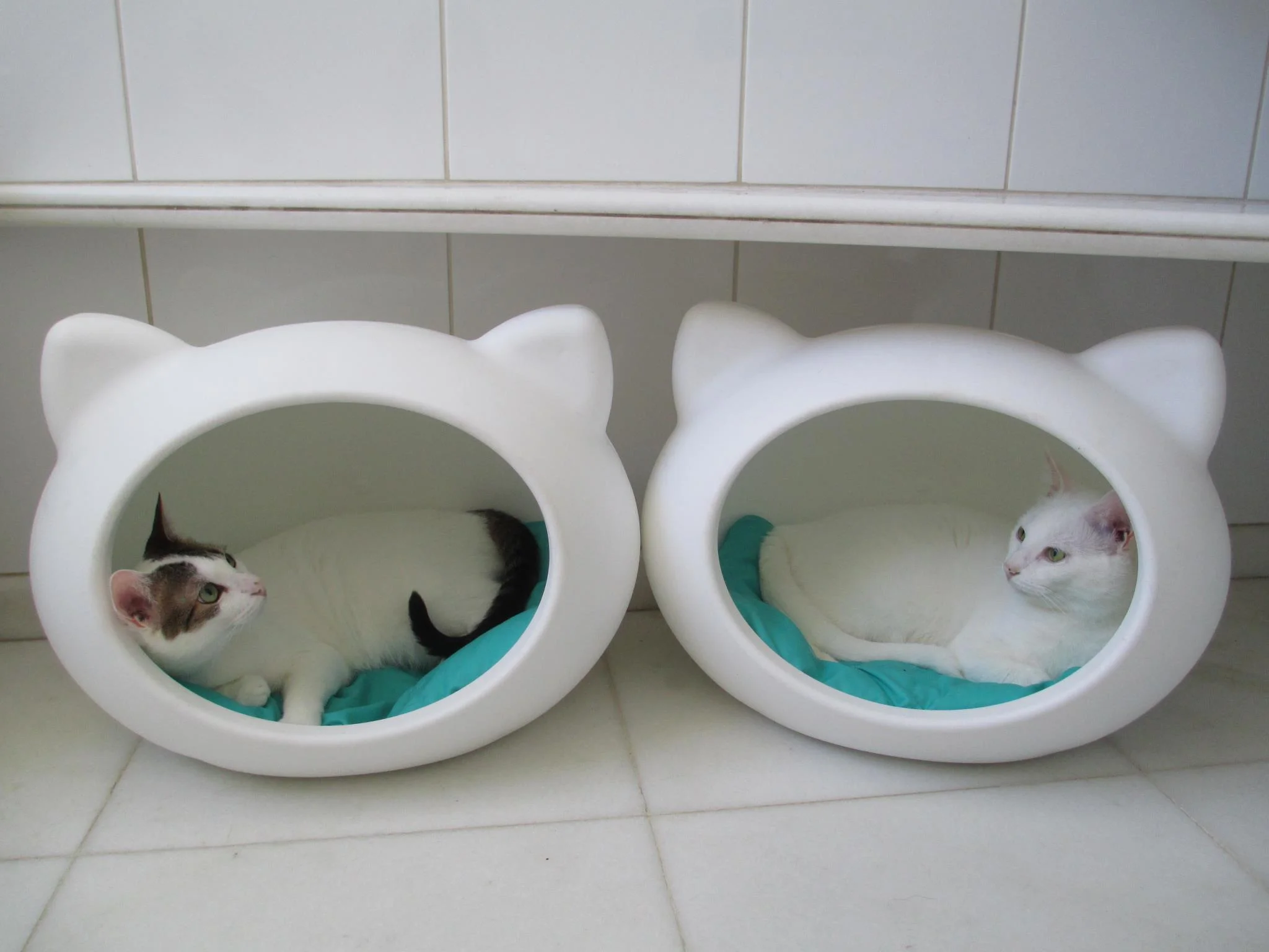 quality_beds_cats_guisapet_uk.jpg