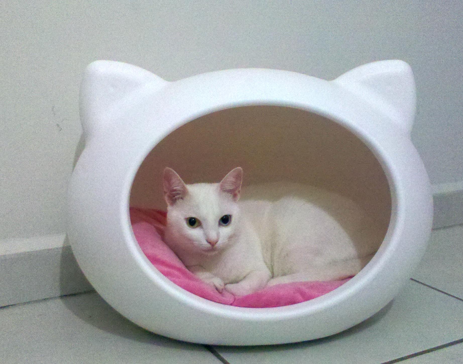 white_cat_beds_guisapet.jpg