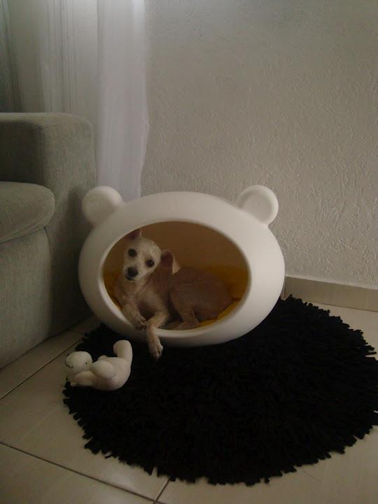 wuite_dog_bed_home_acessories_uk.jpg