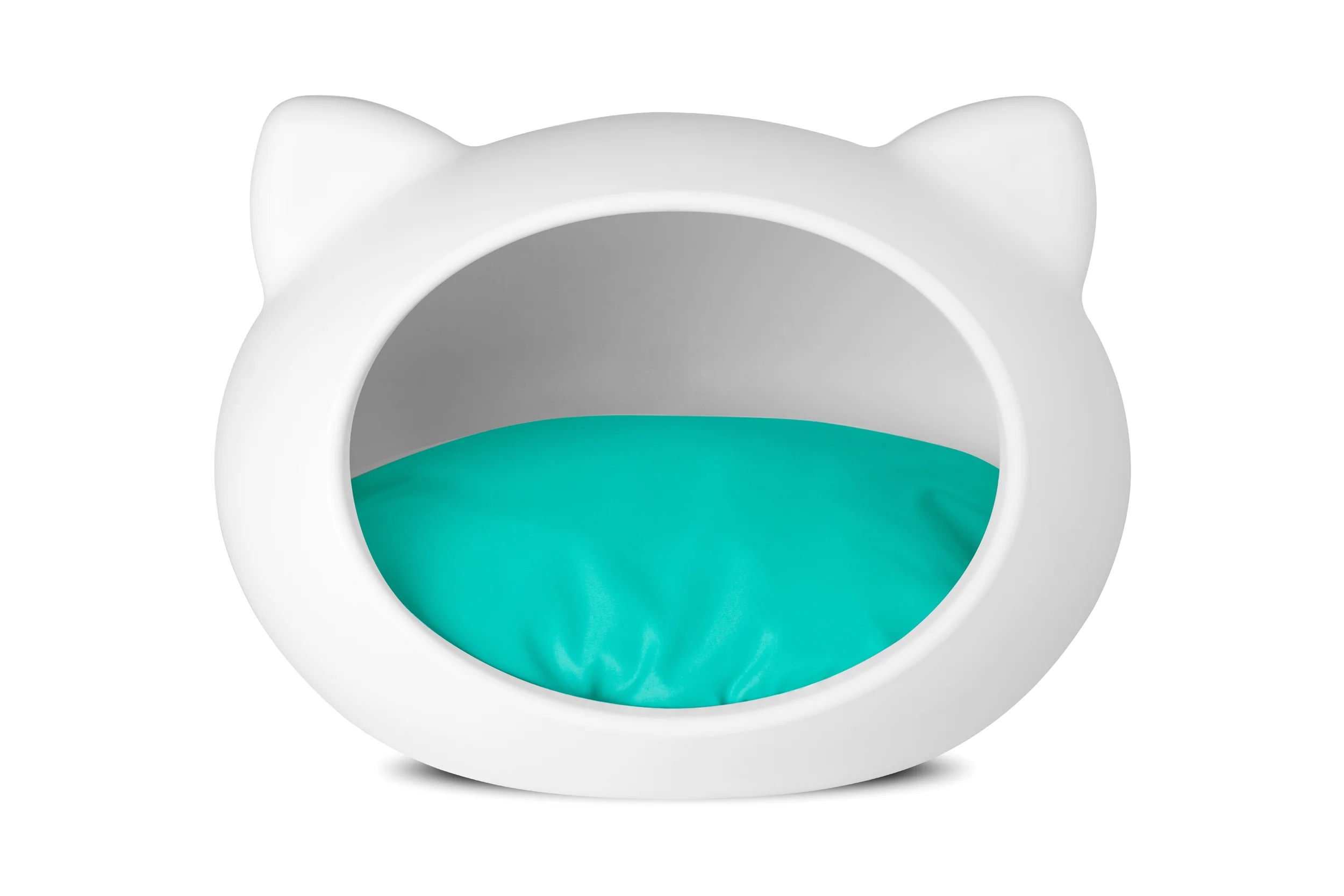 cat turquoise copy.jpg