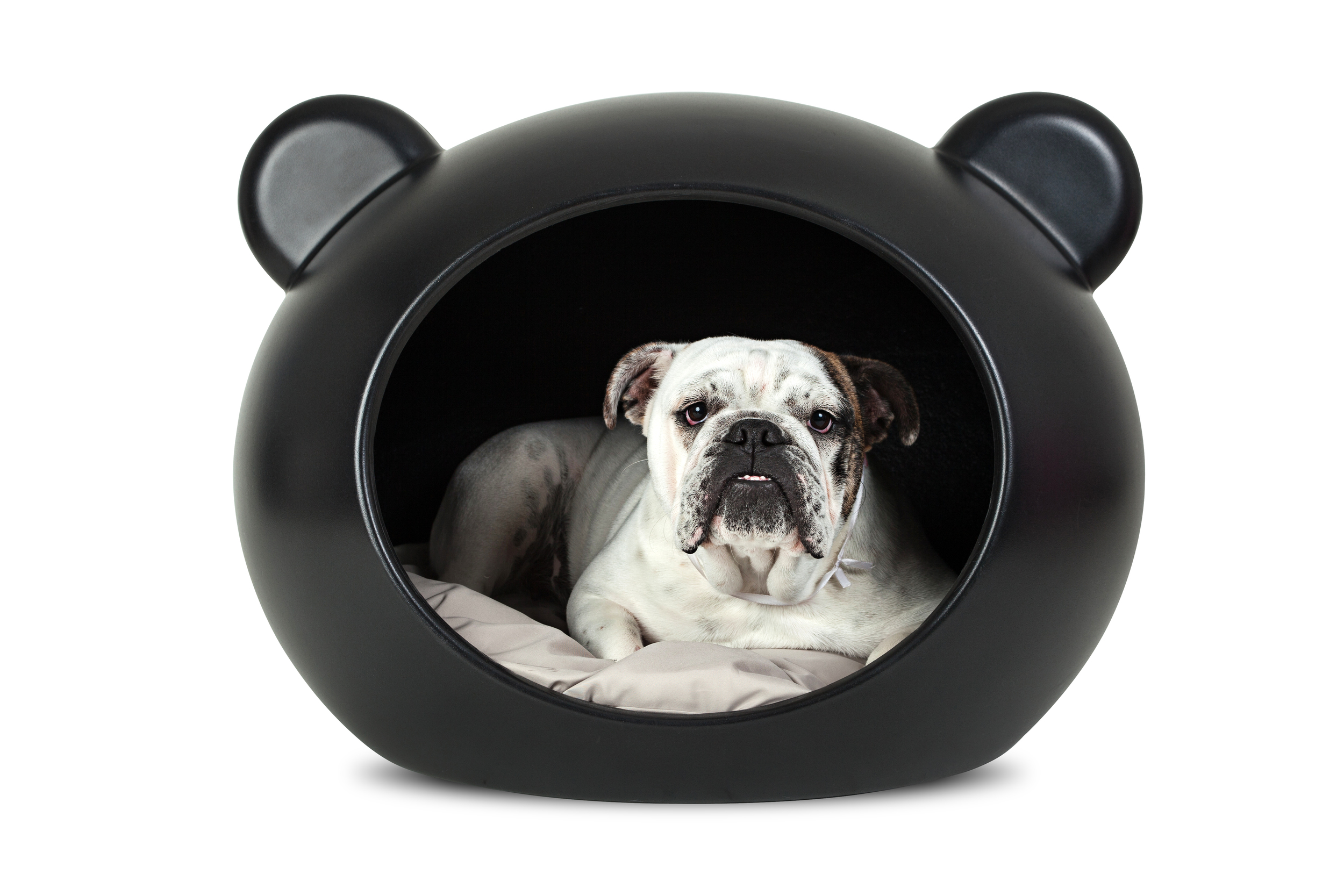 guisapet dog bed