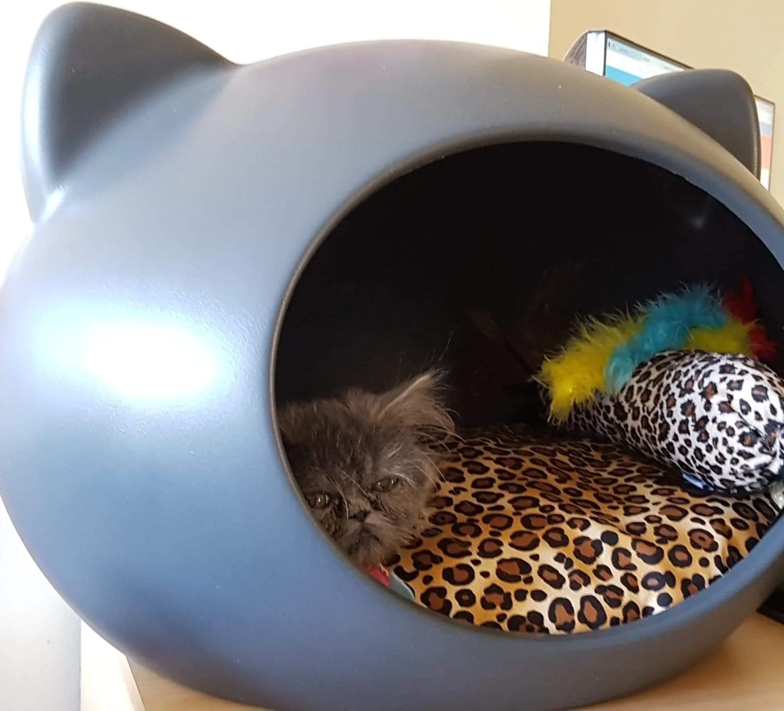 guisapet cat bed