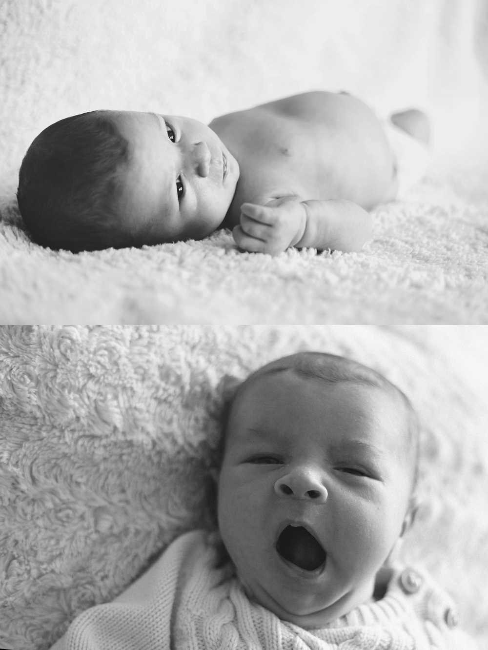 toronto-newborn-photography (11).jpg