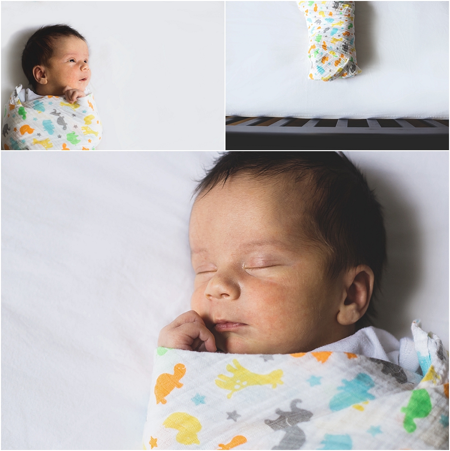 Halton_Hills_Newborn_Photography_0016.jpg