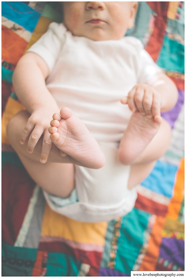 freelensed.jpg