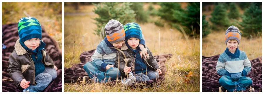 Drysdale Farm Family Photography - Love Bee Photography_0111.jpg