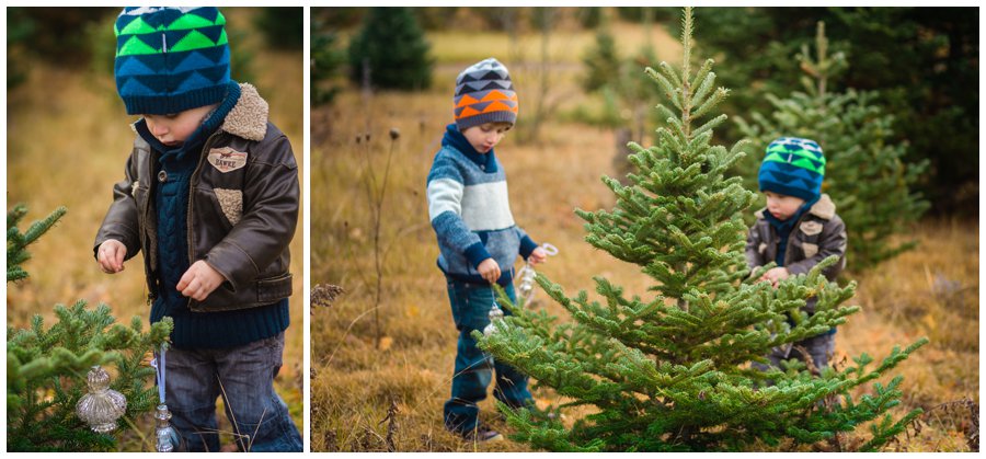 Drysdale Farm Family Photography - Love Bee Photography_0113.jpg