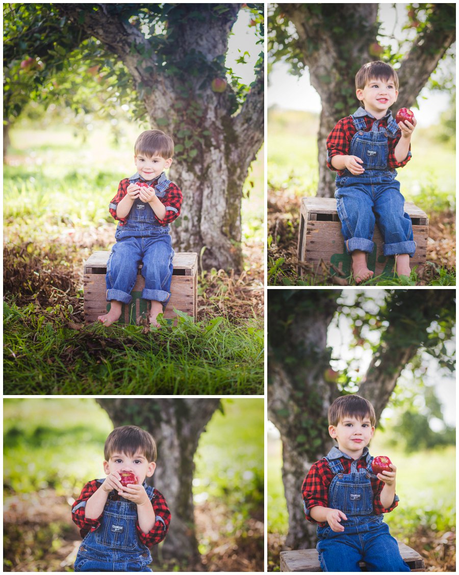 Scotsdale Farm Family Photography - Love Bee Photography_0119.jpg