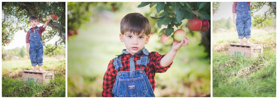 Scotsdale Farm Family Photography - Love Bee Photography_0120.jpg