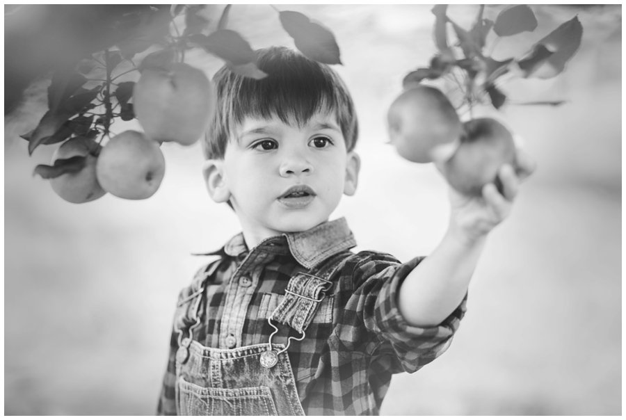 Scotsdale Farm Family Photography - Love Bee Photography_0122.jpg