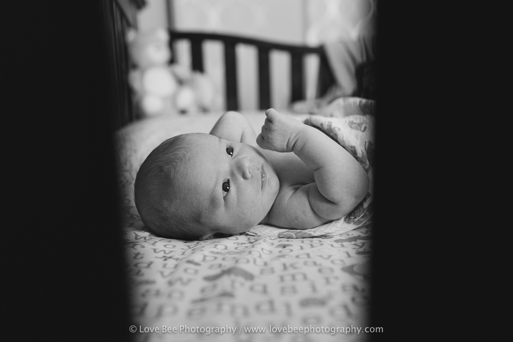 Newmarket Newborn Photographer - Love Bee Photography.jpg