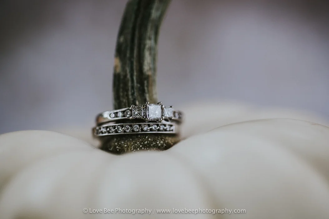 Georgetown Autumn Bridal Shoot-1-2.jpg
