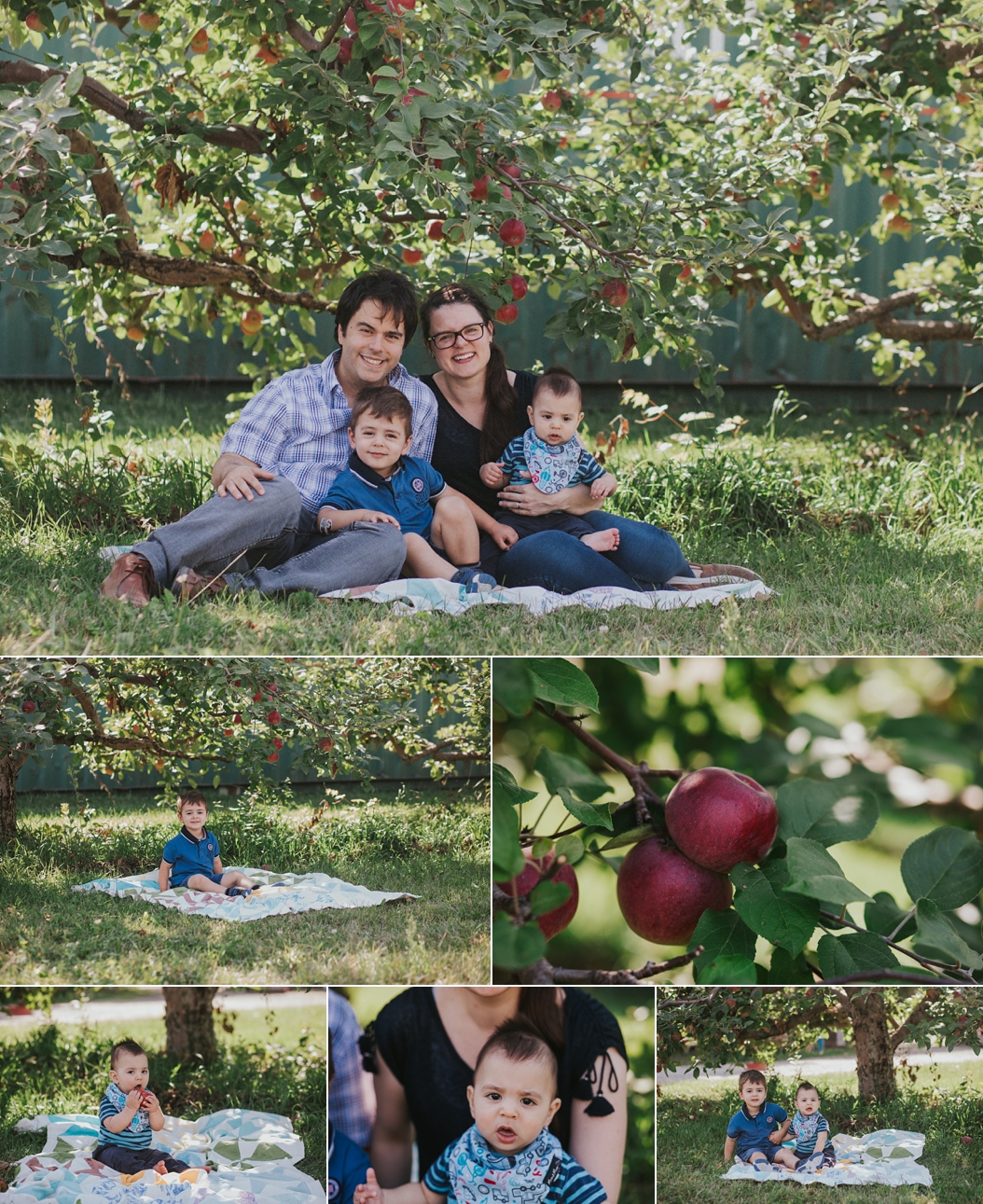  family playing at apple orchard in Georgetown ontario. Family is sitting on a blanket 