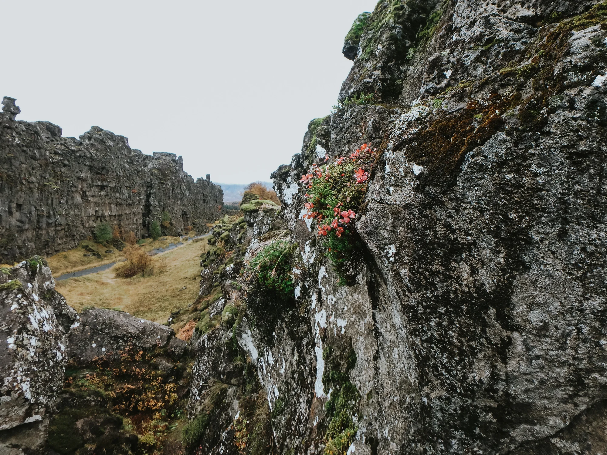 Thingvellir National Park Icelan-2.jpg