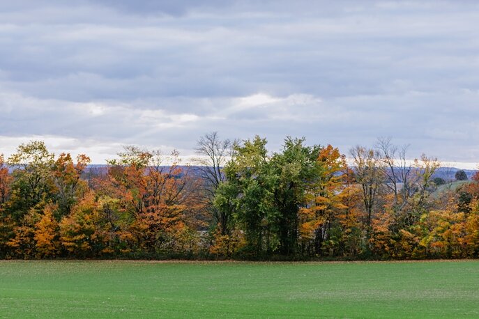 bradford-barn-wedding-DB (503 of 754).jpg