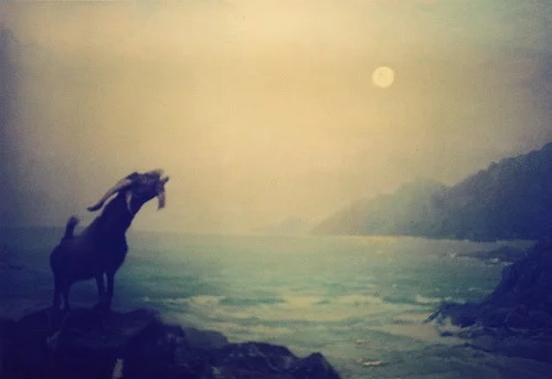 (via Alison Scarpulla)