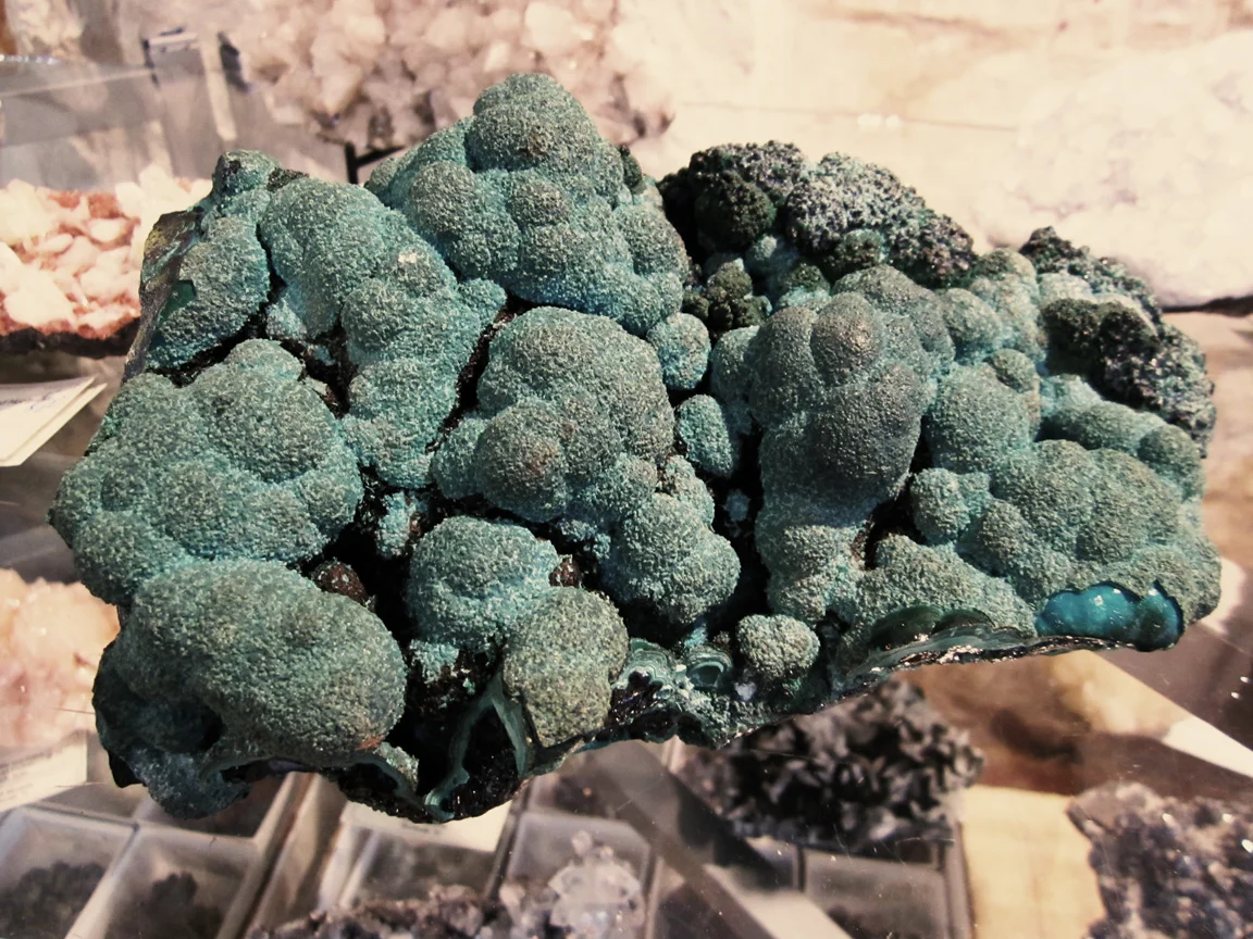 for Bobo Woodlake and Cradle to Grave… what a lovely day we had!