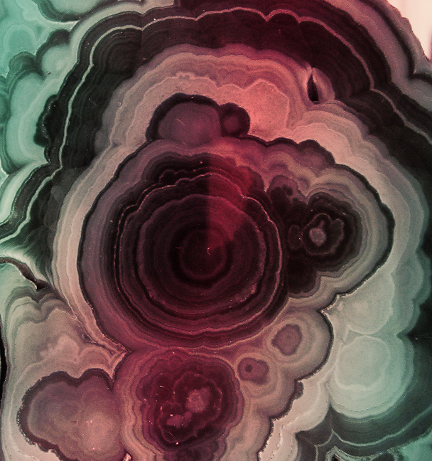 alexandra valenti. alexandraintheforest.com