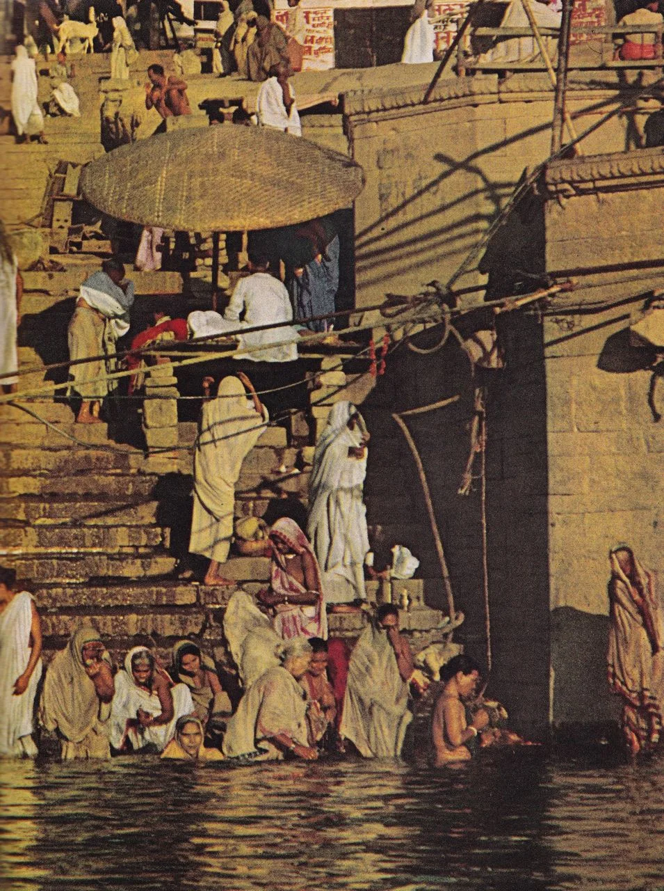 (via illuminatetheworld)