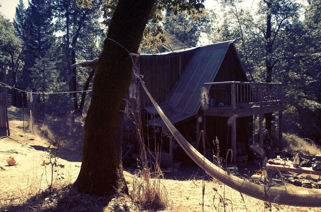 Back in September I went up to Northern California ( Hayfork, Arcata, Eureka, Avenue of the Giants… and back down to SF)… Here’s a few images from the trip…(alexandravalenti.com)