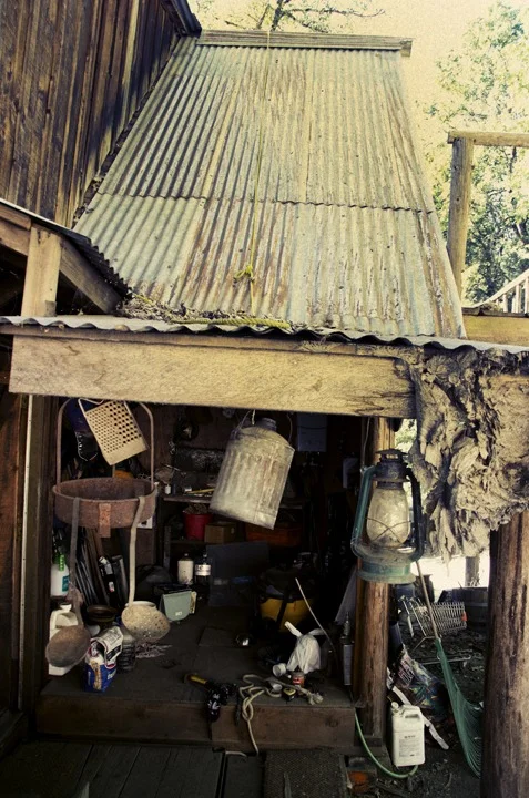 Back in September I went up to Northern California ( Hayfork, Arcata, Eureka, Avenue of the Giants… and back down to SF)… Here’s a few images from the trip…(alexandravalenti.com)