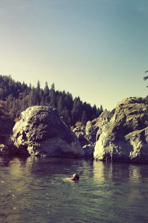 Back in September I went up to Northern California ( Hayfork, Arcata, Eureka, Avenue of the Giants… and back down to SF)… Here’s a few images from the trip…(alexandravalenti.com)