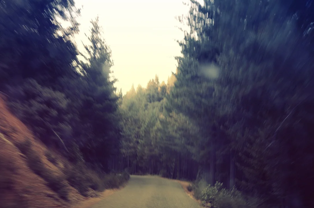 Back in September I went up to Northern California ( Hayfork, Arcata, Eureka, Avenue of the Giants… and back down to SF)… Here’s a few images from the trip…(alexandravalenti.com)