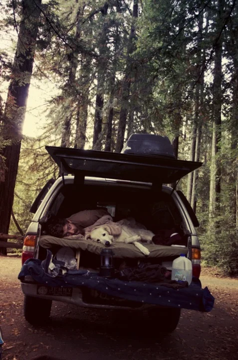 Back in September I went up to Northern California ( Hayfork, Arcata, Eureka, Avenue of the Giants… and back down to SF)… Here’s a few images from the trip…(alexandravalenti.com)