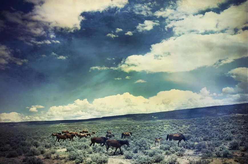 colorado trip with Leslie and Caleb. August 2011