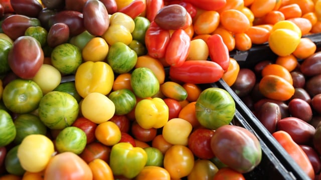 Farm Fresh Atlas: App Launch 2018 - Viroqua Region