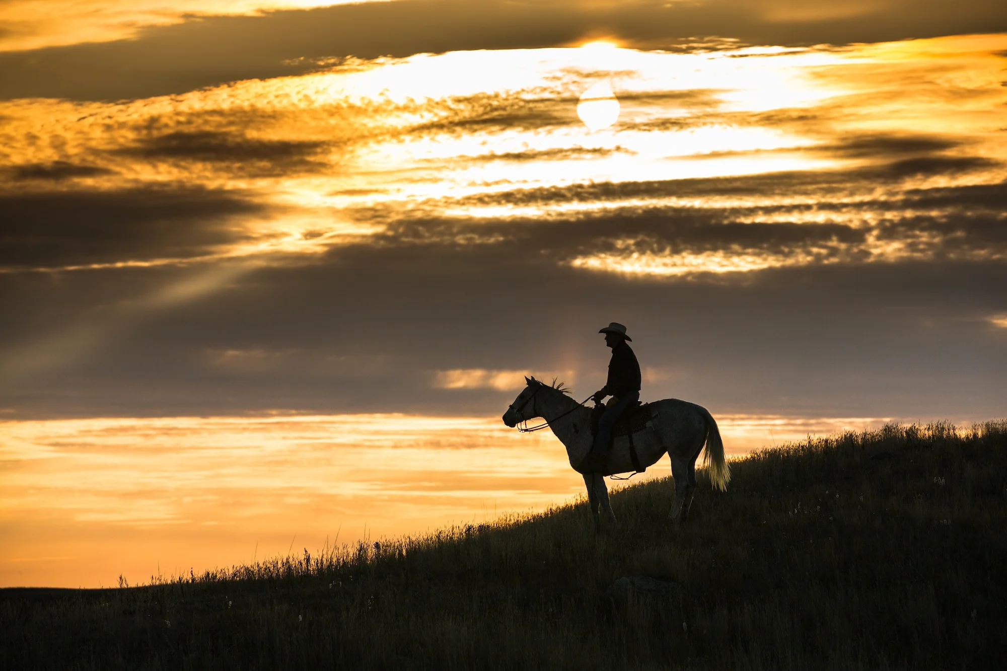 Cowboy at Sunset